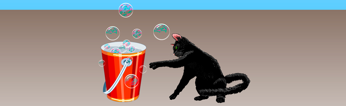 Buddy chases bubbles